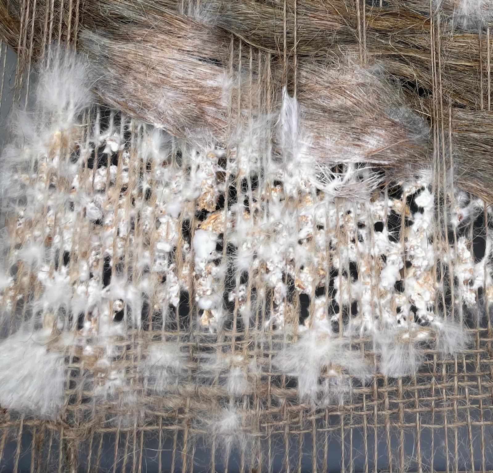 Proceso de Micelio y textil